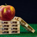 maquinaria embalaje fruta