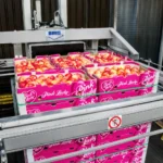 Flejado o retractilado: diferencias, ventajas y cuándo usar cada sistema