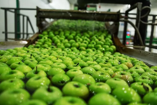 manzanas-verdes-foco-agricultura-produccion-manzanas-ecologicas-proceso-produccion-distribucion-apple-limpieza-manzanas-agua-corriente-maquina-automatizada-industria-manufacturera_232070-12117