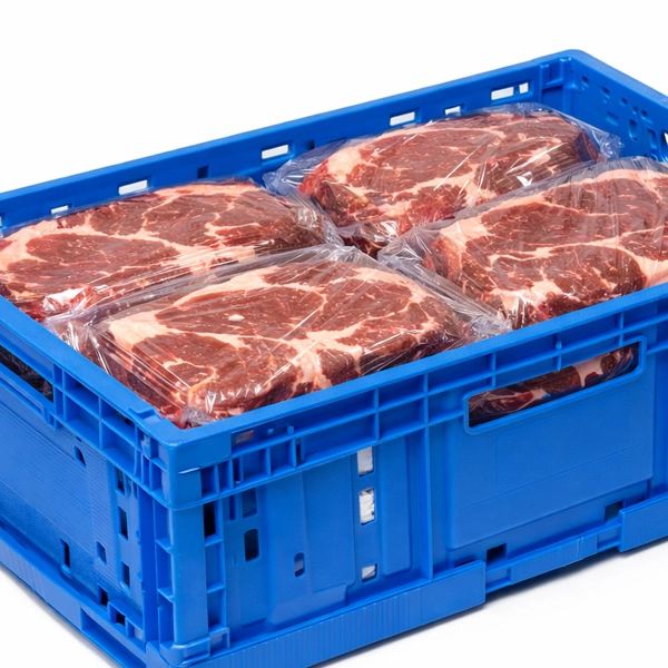 Alimentación